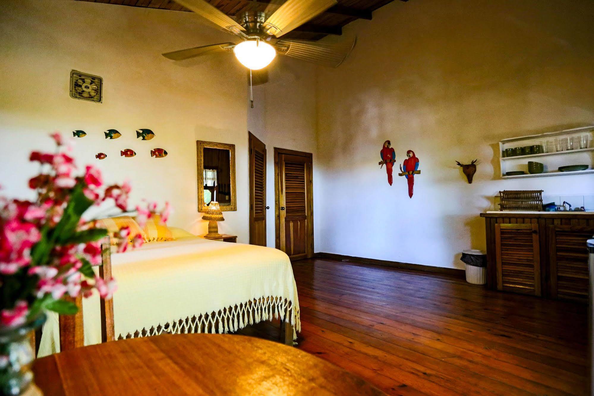 Posada Arco Iris, West End Exterior photo